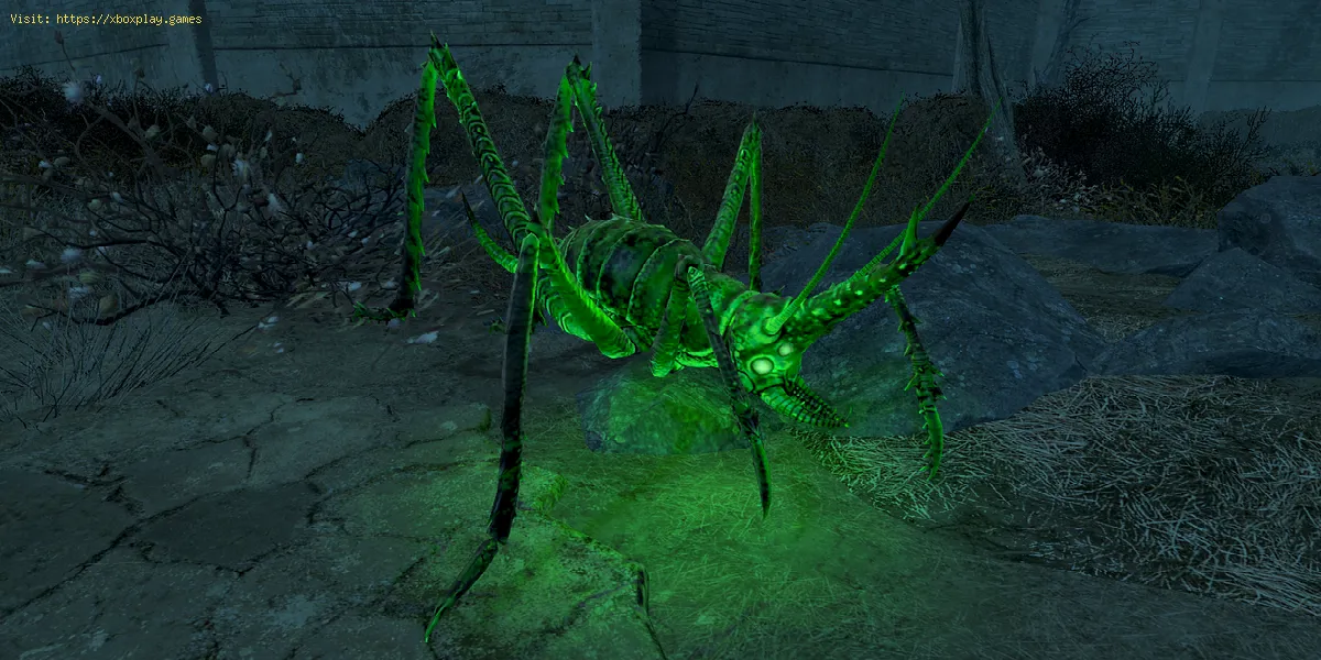 Fallout 76 : emplacements des créatures lumineuses