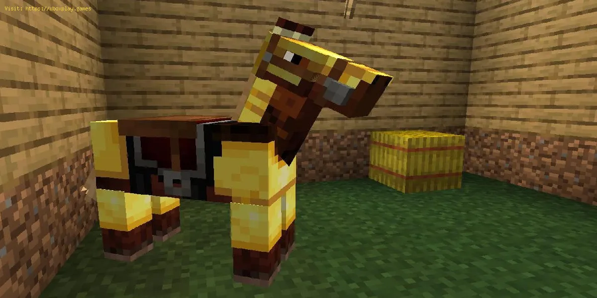 Doma un cavallo in Minecraft