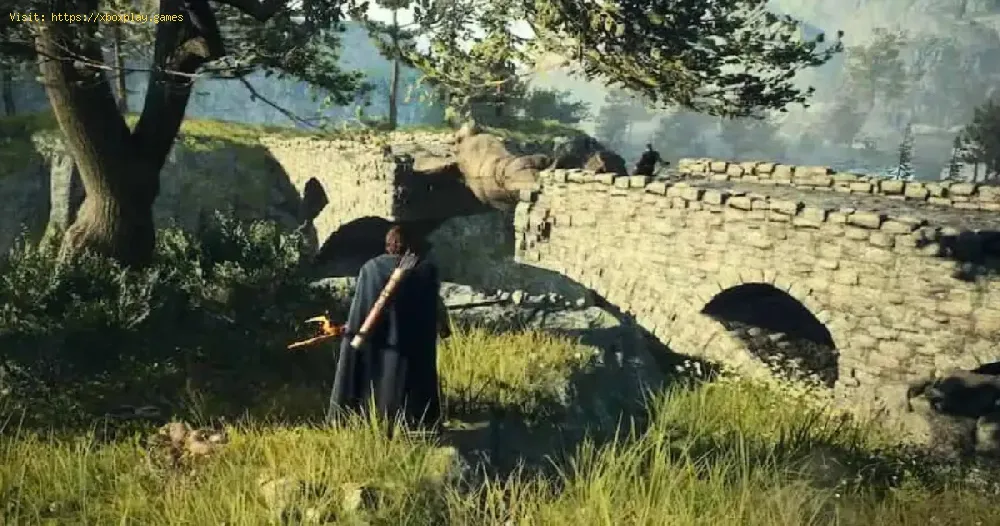 Dragon’s Dogma 2: A Bunch Of Flowers location