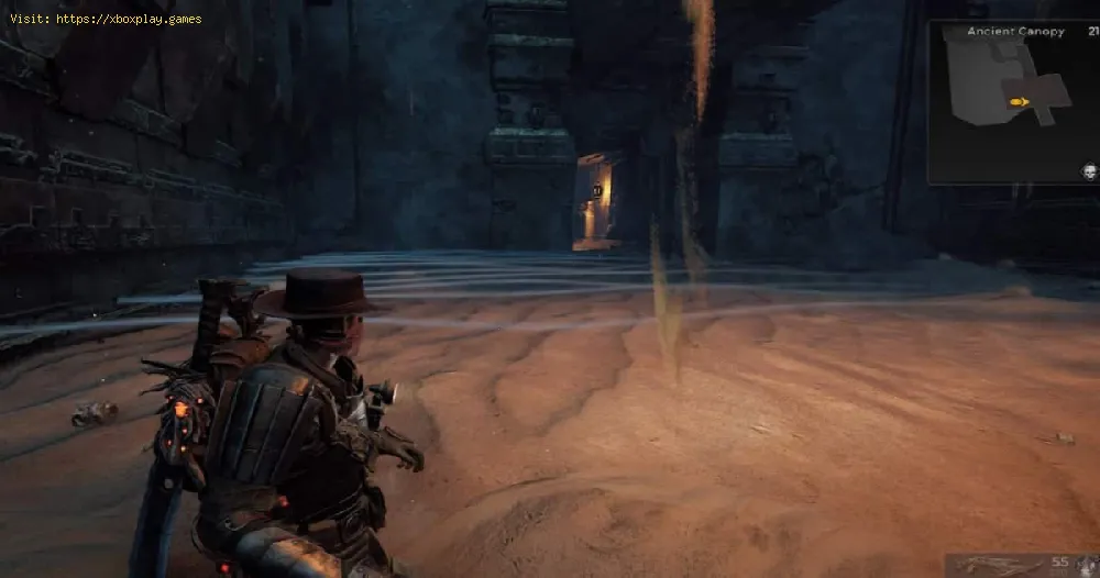 get across the Sand Room in Ancient Canopy in Remnant 2