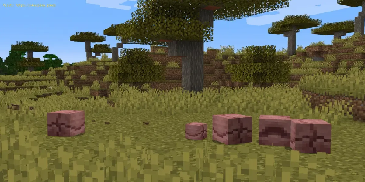 Minecraft: Posizioni di spawn degli armadilli