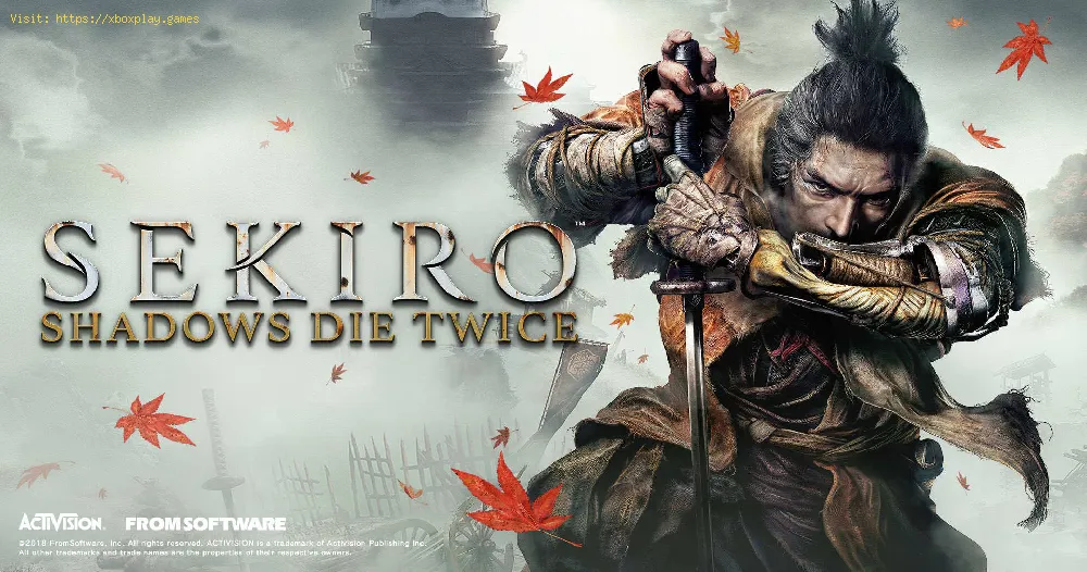 Sekiro Shadows Die Twice is closer to the stores Says Activision