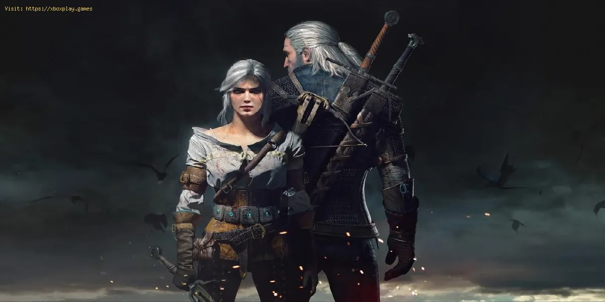 The Witcher 3: come completare Skellige Fists of Fury
