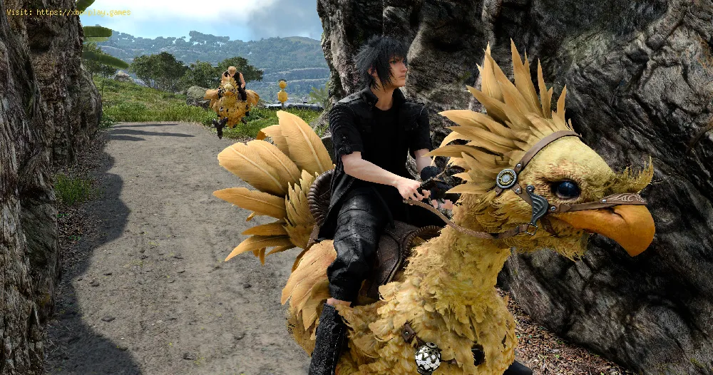 Final Fantasy 15: How to get and Ride Chocobos