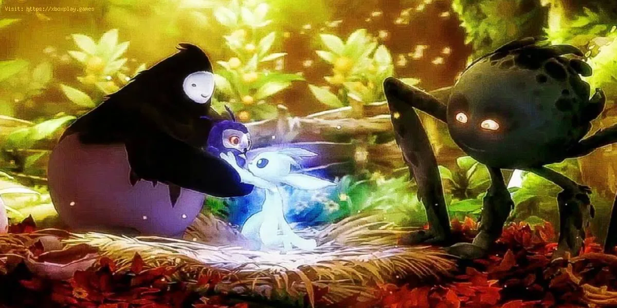 Ori And The Will Of The Wisps: Comment réveiller l'ours endormi - Trucs et astuces