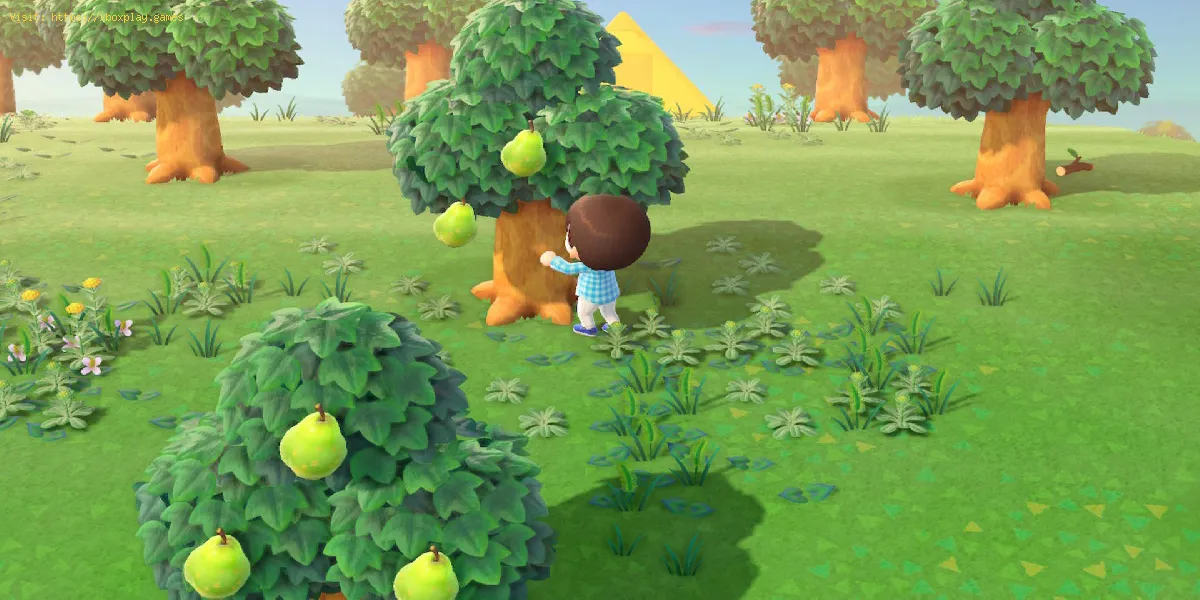 Animal Crossing New Horizons: Como usar frutas