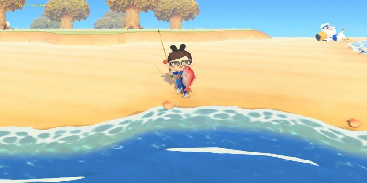 Animal Crossing New Horizons: Cómo obtener una caña de pescar