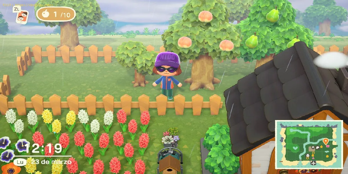 Animal Crossing New Horizons: Cómo cambiar la fruta de la isla