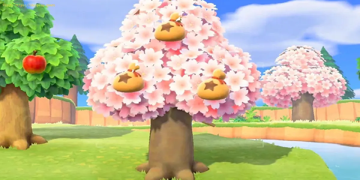 Animal Crossing New Horizons: Comment faire pousser des arbres d'argent