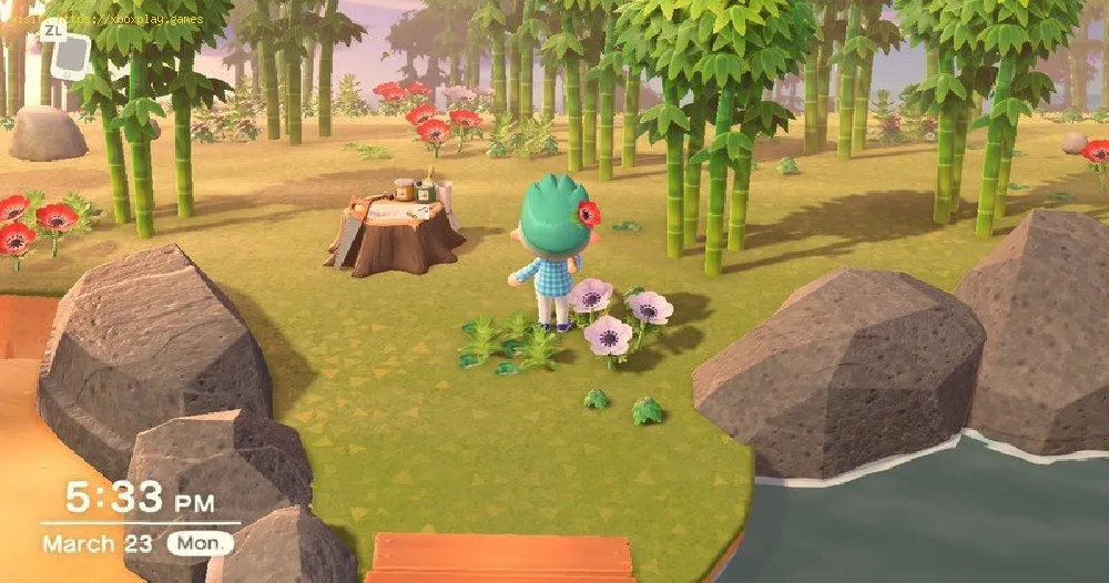 Animal Crossing New Horizons:  Where to Plant Bamboo