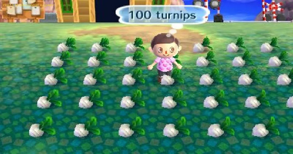 Animal Crossing New Horizons: How to Plant Turnips