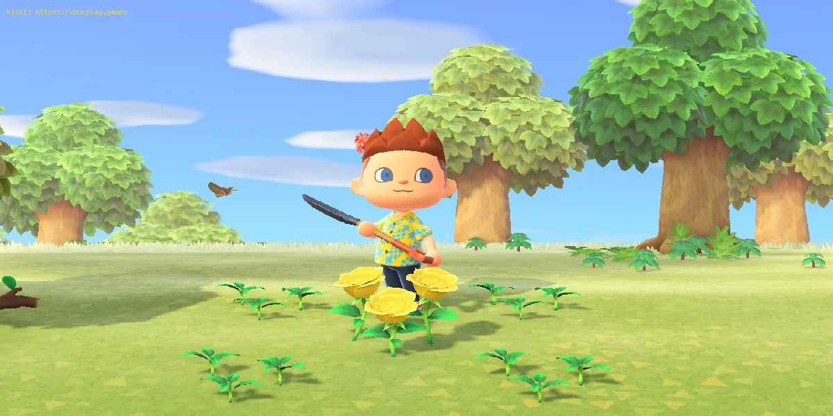 Animal Crossing New Horizons: Comment faire pousser des fleurs dorées