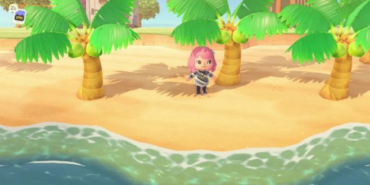 Animal Crossing New Horizons: Como cultivar coqueiros
