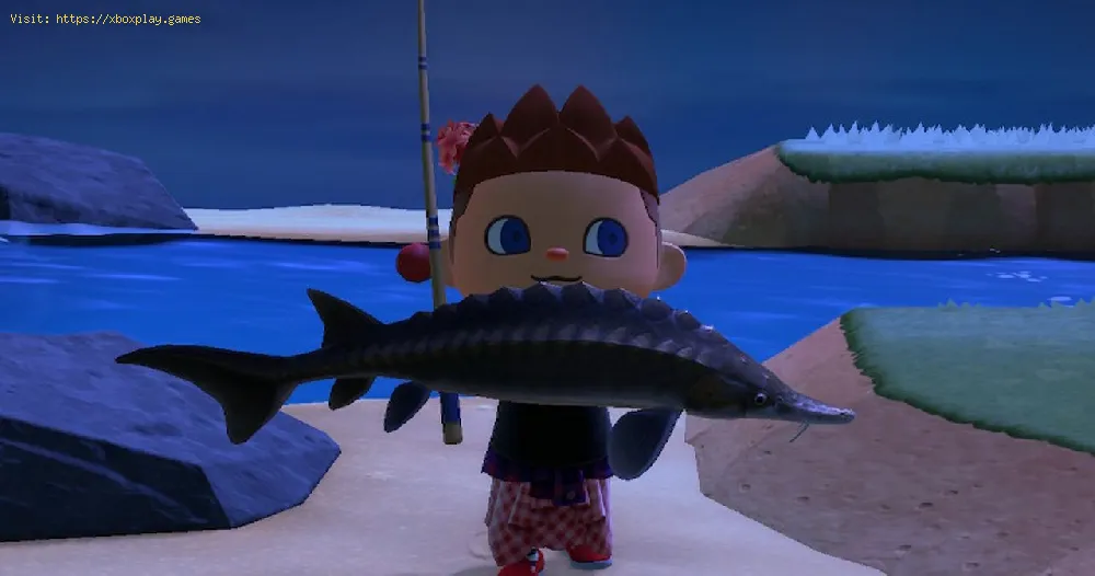 Animal Crossing New Horizons: How to get the sturgeon