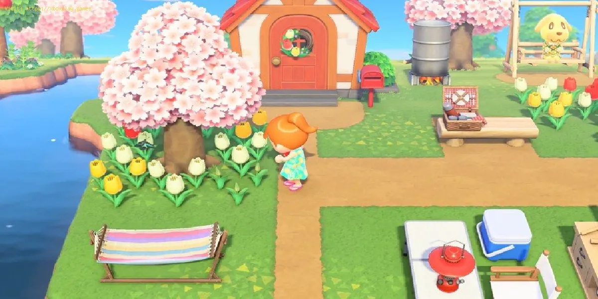 Animal Crossing New Horizons: Cómo atrapar char