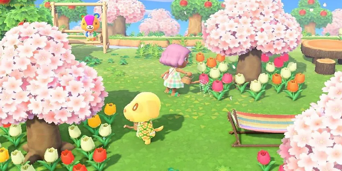 Animal Crossing New Horizons: Wie man Sakura-Blütenbäume züchtet