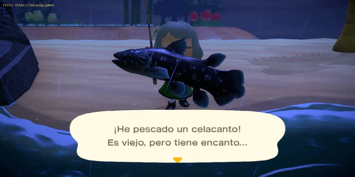 Animal Crossing New Horizons: come catturare il celacanto