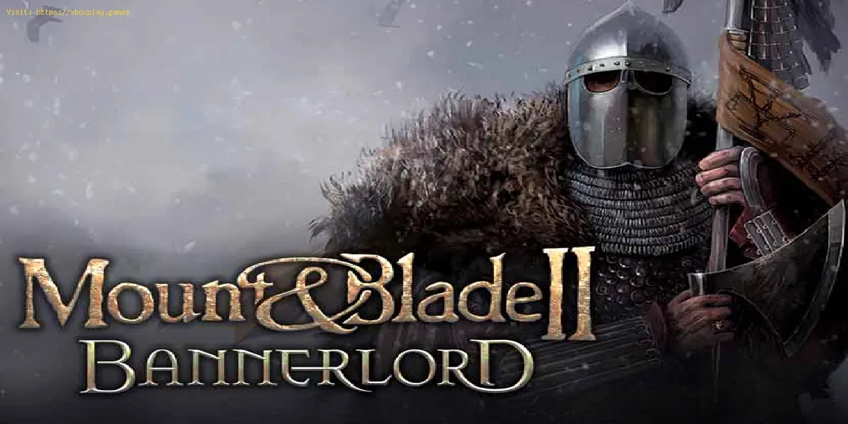 Mount and Blade II Bannerlord: wie man die beste grafische Konfiguration erhält