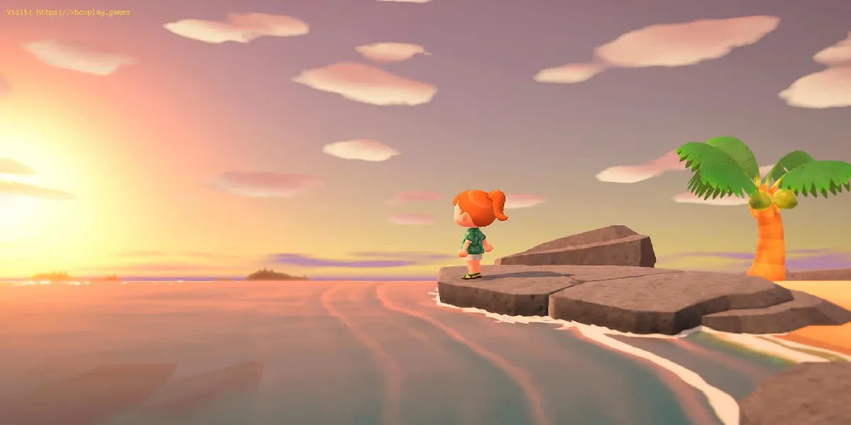 Animal Crossing New Horizons: Wie man einen Floh bekommt