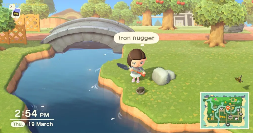 Animal Crossing New Horizons: How to get a Ranchu Goldfish