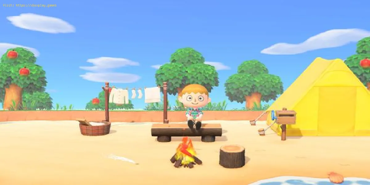 Animal Crossing New Horizons: Wie man Meteorschauer sieht