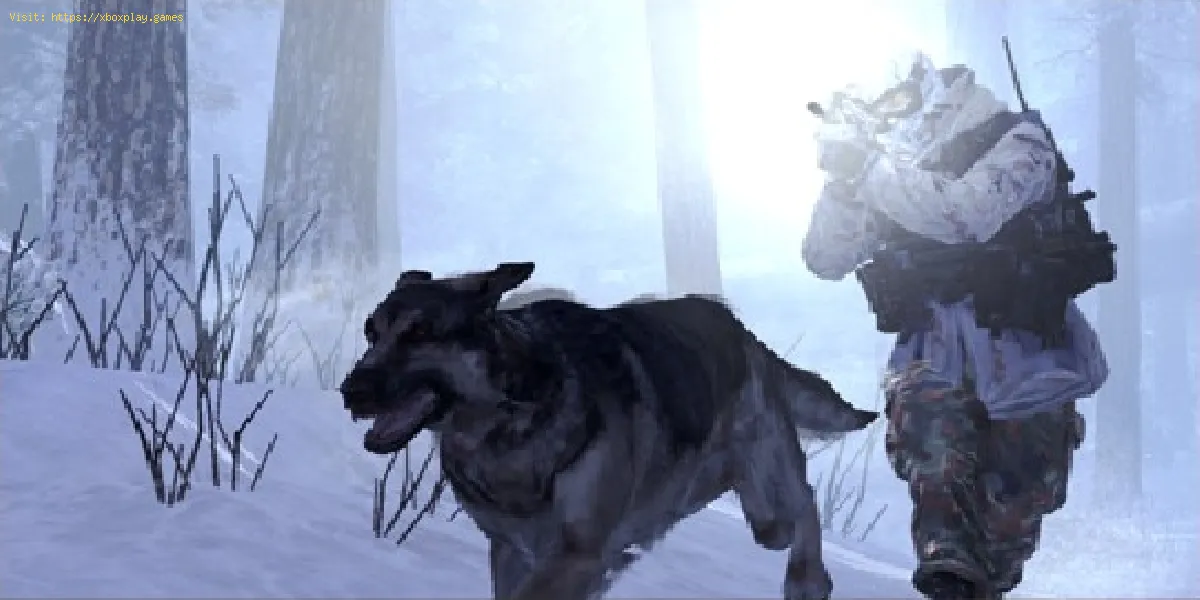 Call of Duty Modern Warfare: Comment obtenir un chien - trucs et astuces