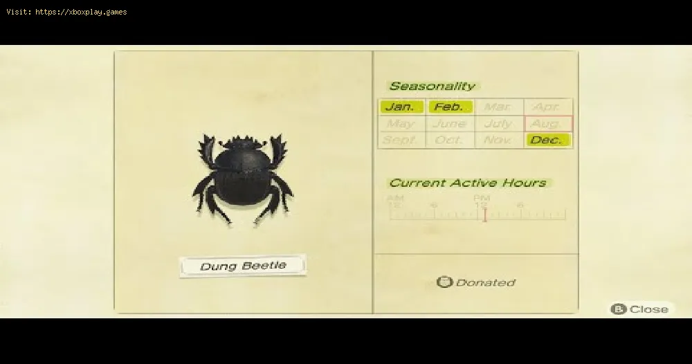 Animal Crossing New Horizons: How to get a Dung Beetle