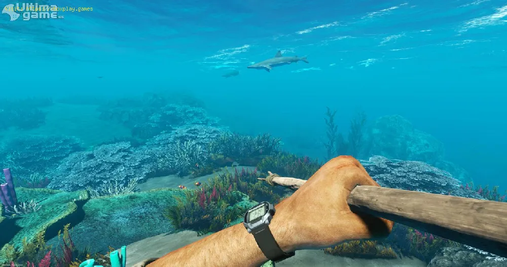 Stranded Deep: Where to find the Creatures and Wildlife
