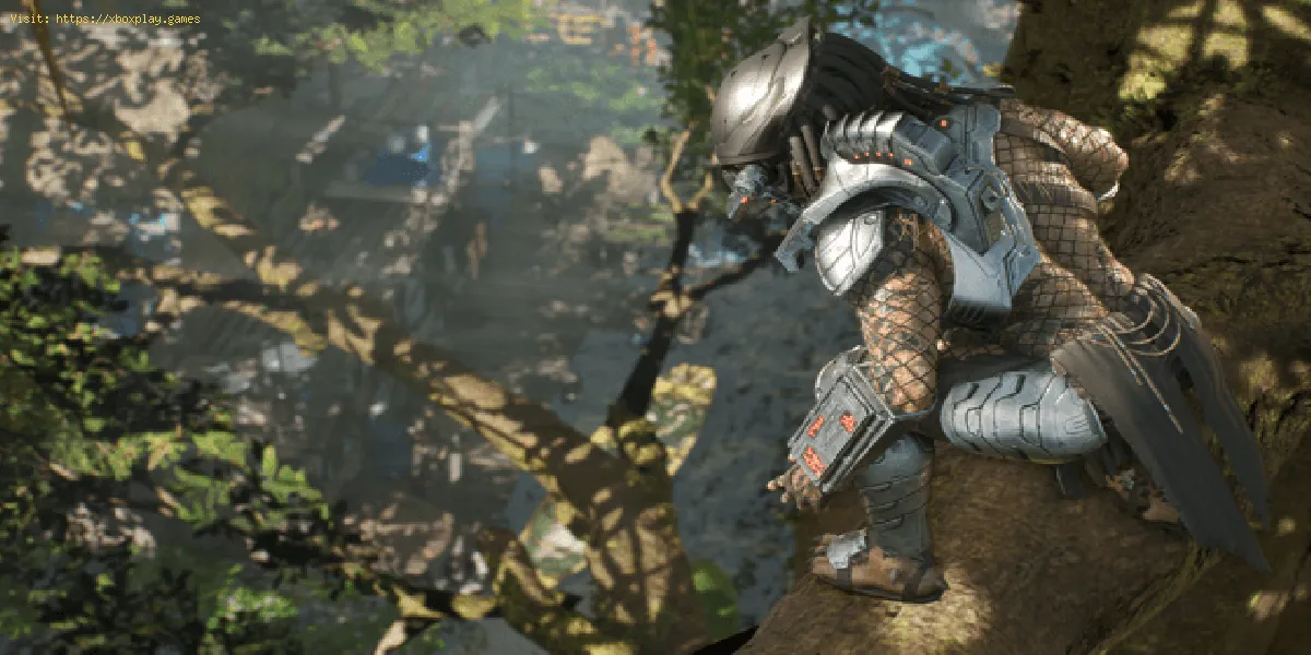 Predator Hunting Grounds Multiplayer: Como jogar com os amigos