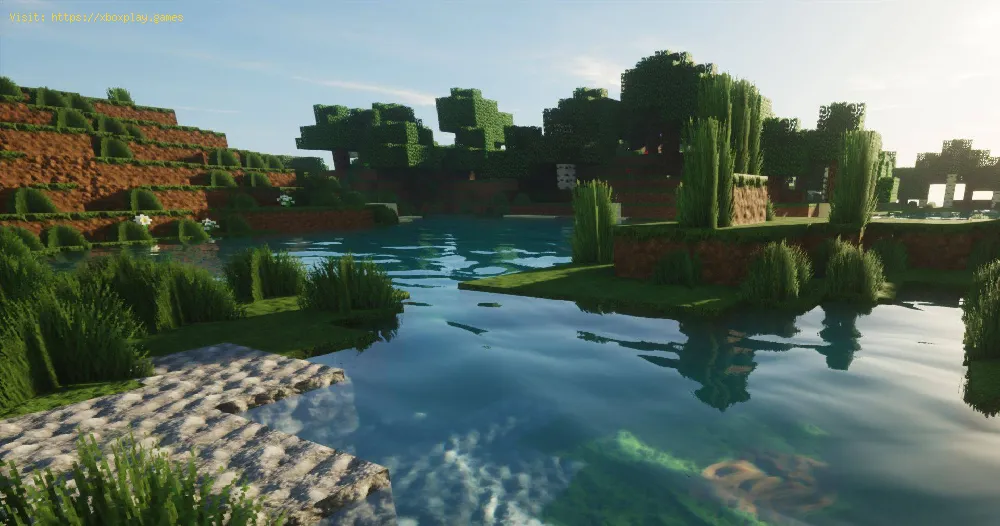 Minecraft: how to get the SEUS shader in ray tracing