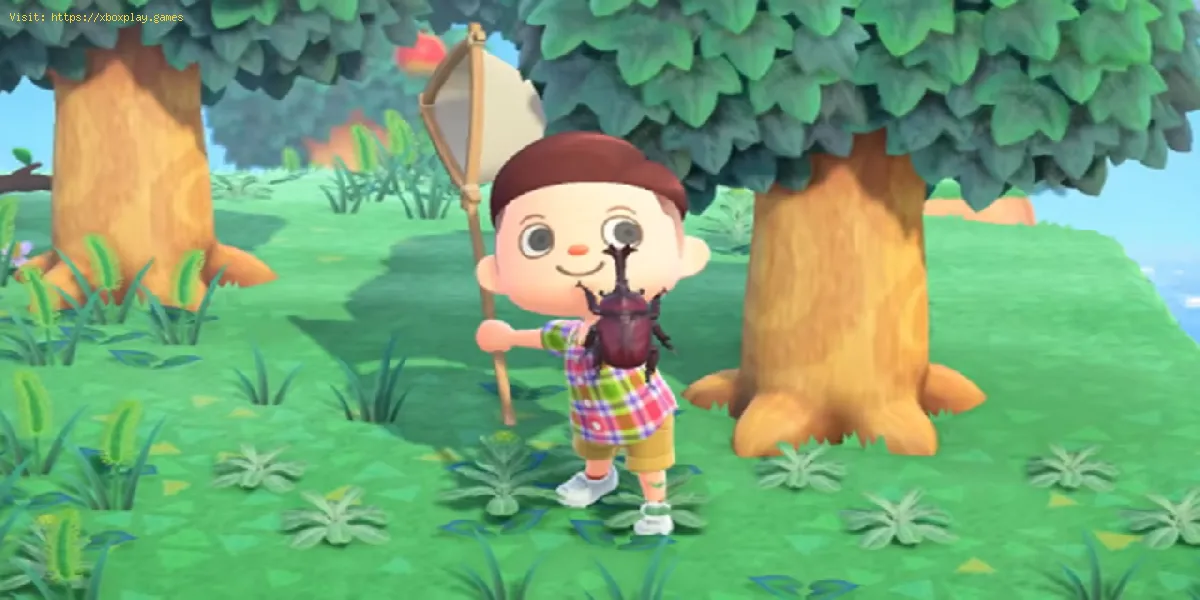 Animal Crossing New Horizons: Comment attraper le coléoptère du violon