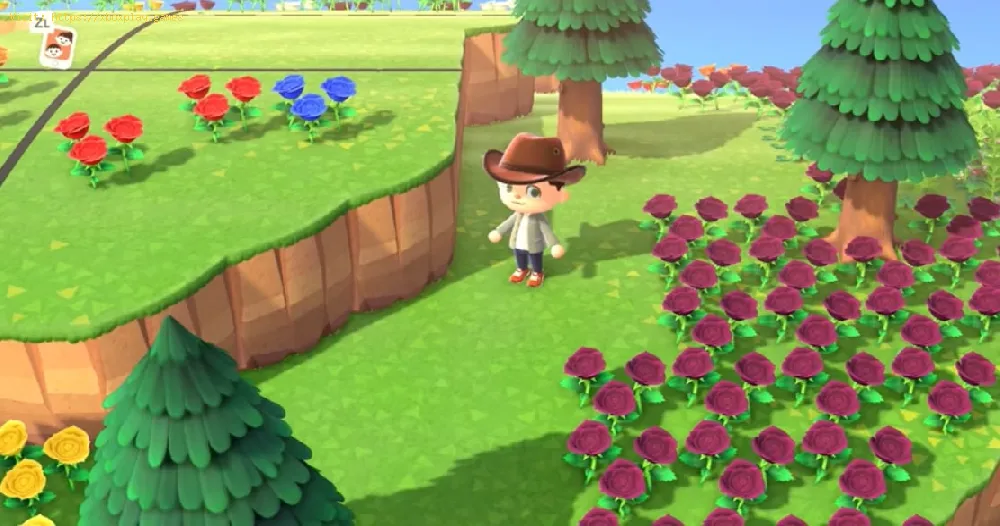 Animal Crossing New Horizons: How to breed Green Mums