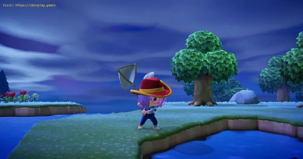 Animal Crossing New Horizons: How to Get Diving Beetle