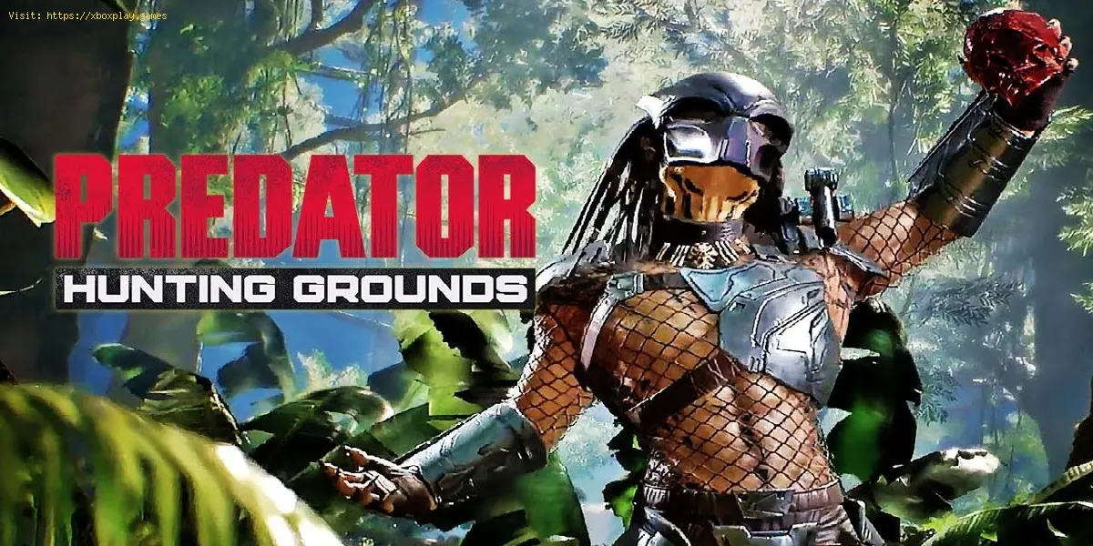 Predator Hunting Grounds: Como jogar com os amigos
