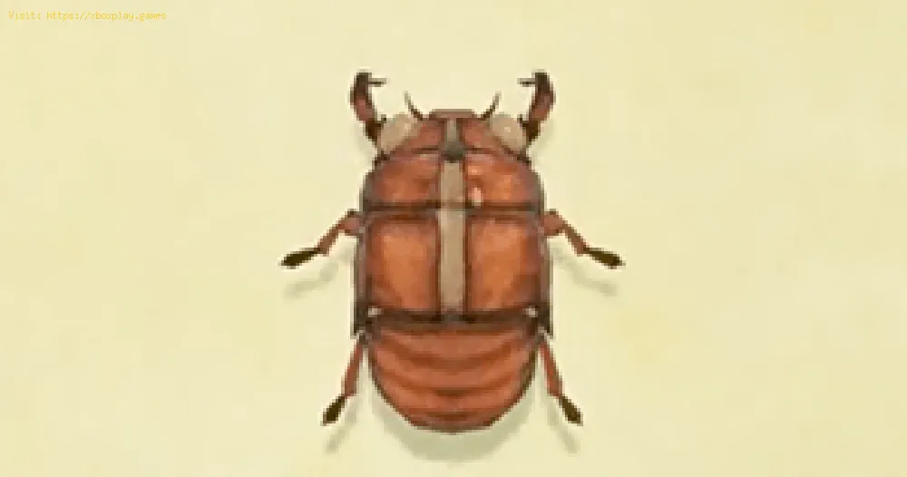 Animal Crossing New Horizons: How to Get a Cicada Shell