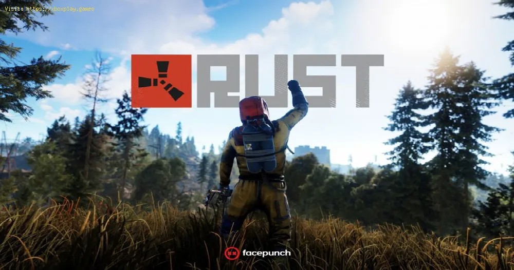 Rust: Error Disconnected or Connection Attempt Failed Solution