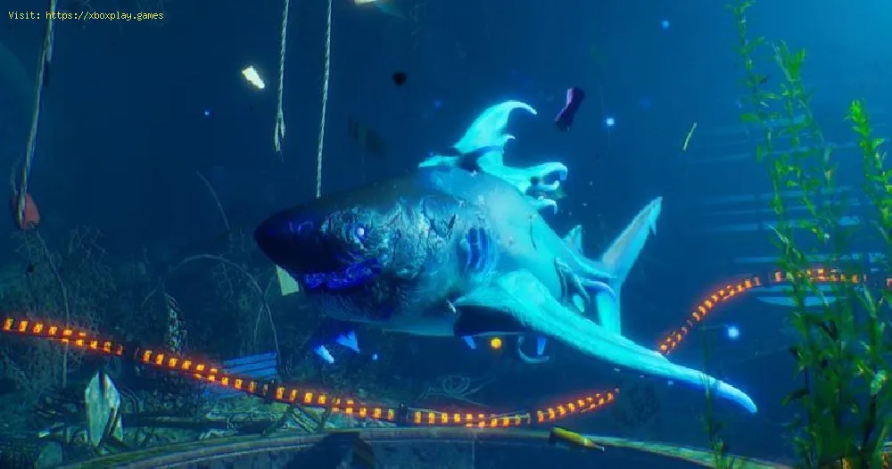 Maneater: How to evolve your shark - Tips and tricks