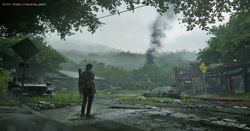 The Last of Us Part II : 중동에서의 금지 판매