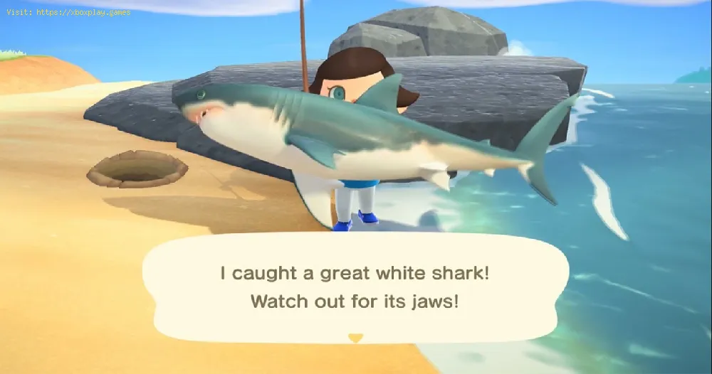 Animal Crossing New Horizons：ホホジロザメを捕まえる方法