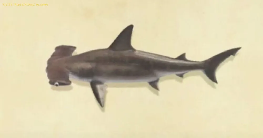 Animal Crossing New Horizons: How to Catch Hammerhead Shark