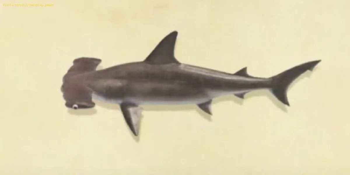 Animal Crossing New Horizons: Cómo atrapar tiburones martillo