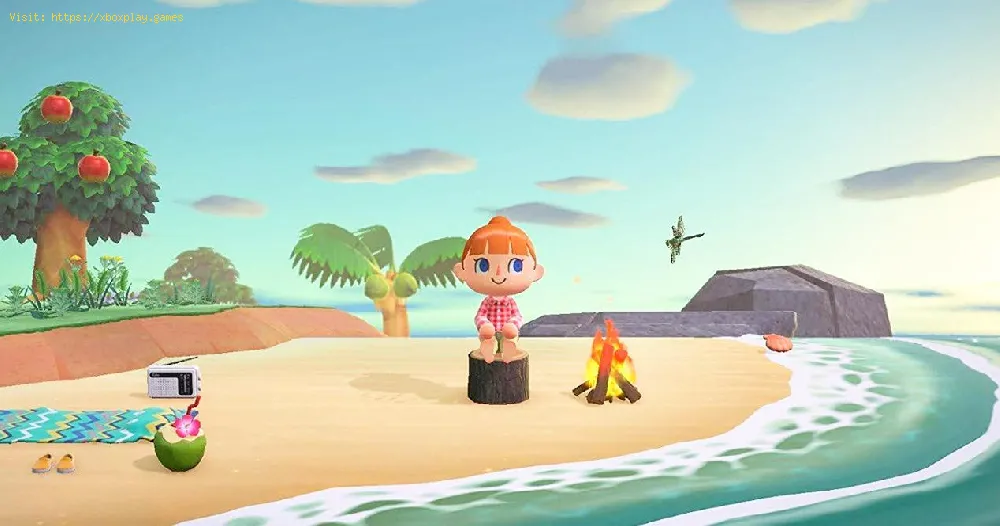 Animal Crossing New Horizons：子豚の釣り方