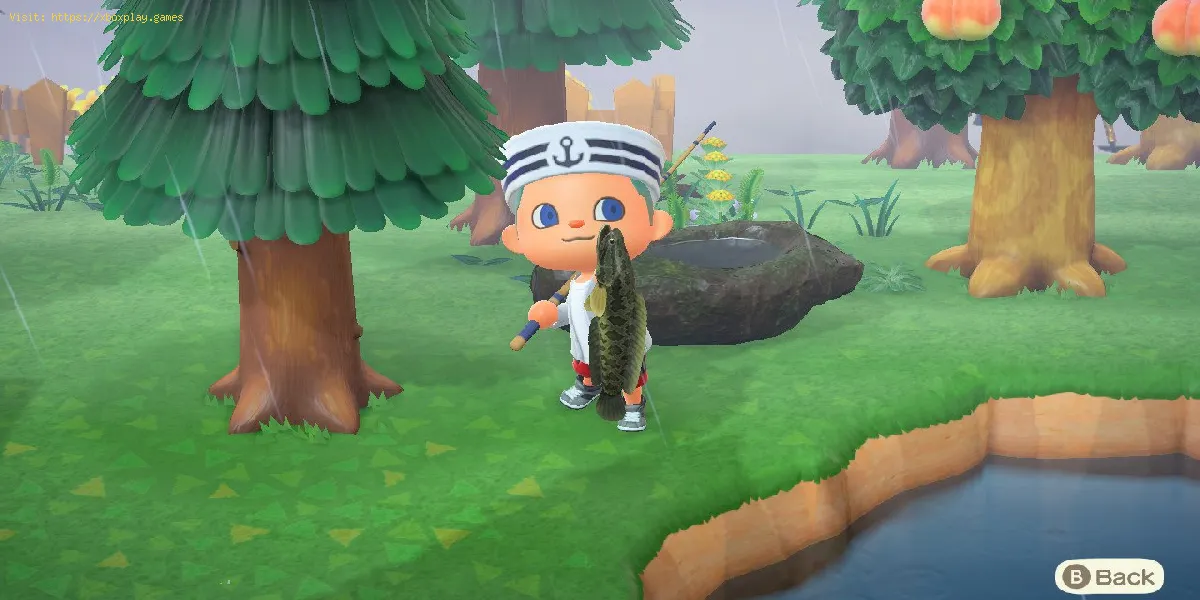 Animal Crossing New Horizons: Cómo atrapar una cabeza de serpiente gigante