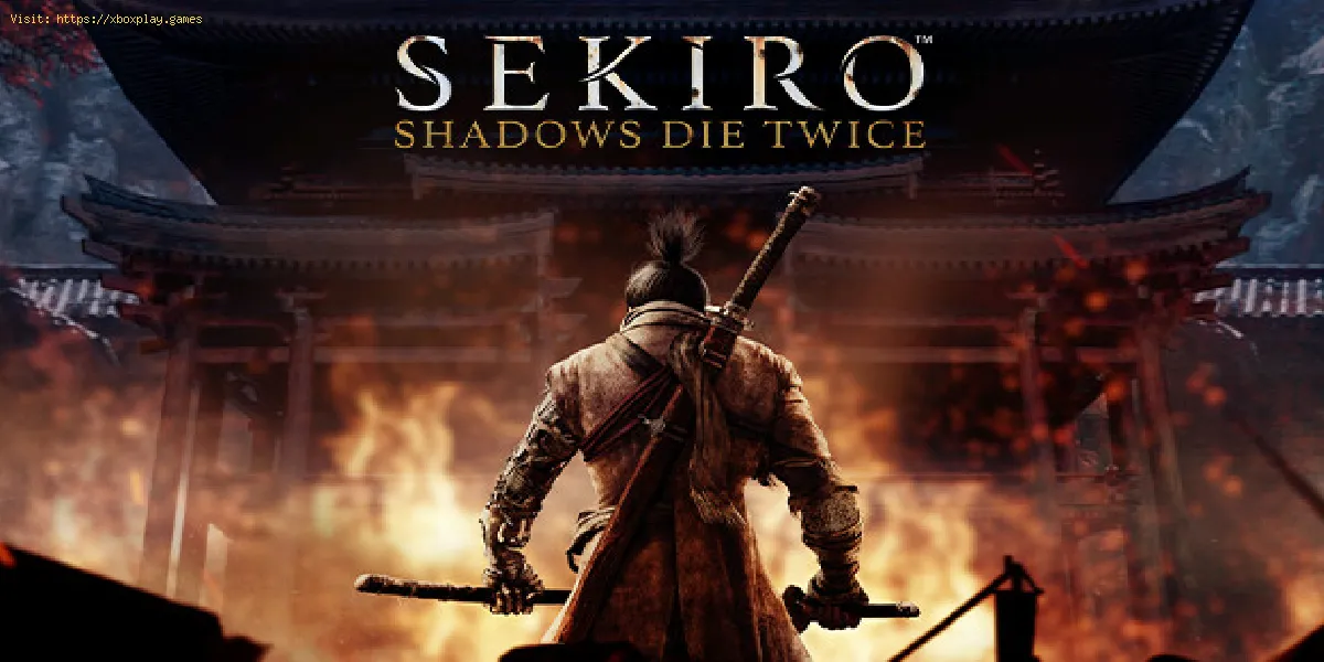 Sekiro: Shadows The Twice nos traz coisas novas.