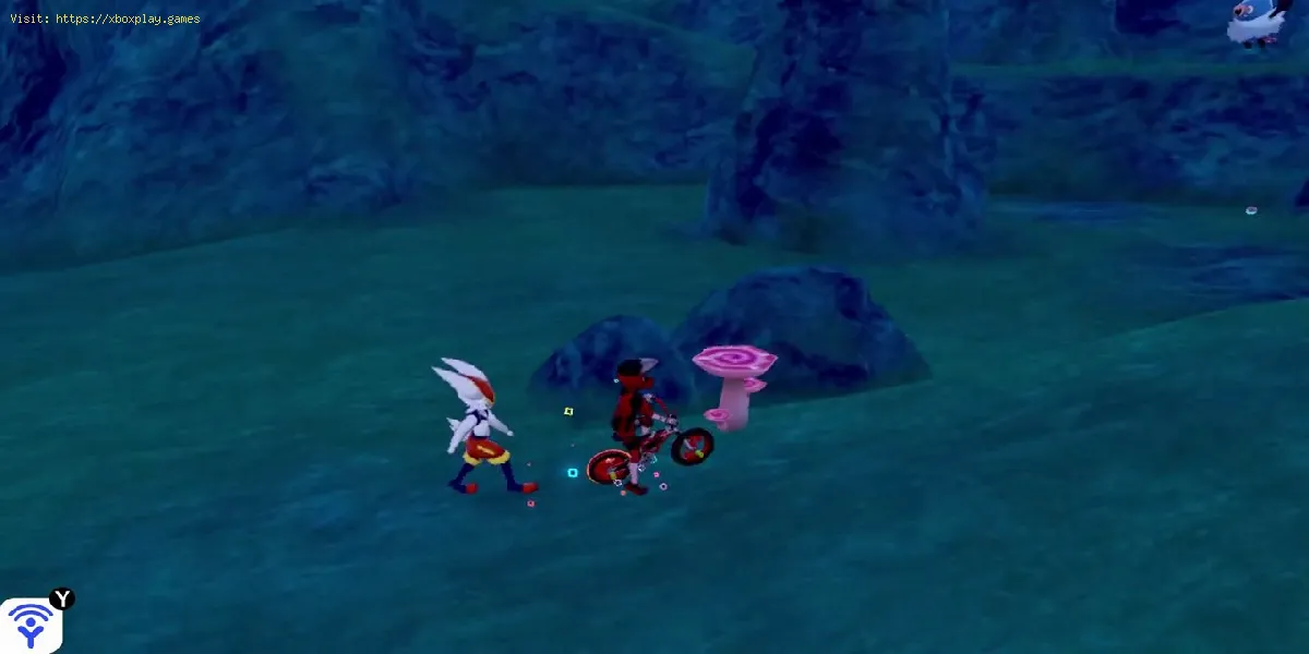 Pokémon Isle of Armor: Wie man Pilze bekommt Max
