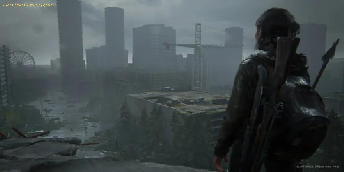 The Last of Us Part 2: So erhalten Sie Seattle-Türcodes
