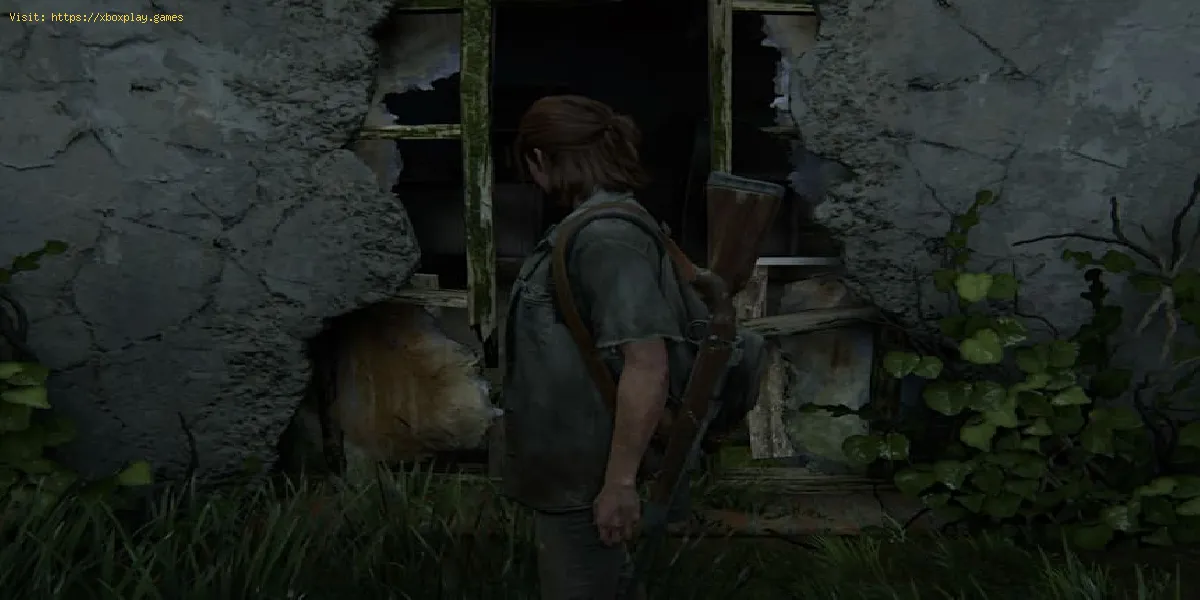 The Last of Us Part 2: Wo finde ich das seltsame Relikt?