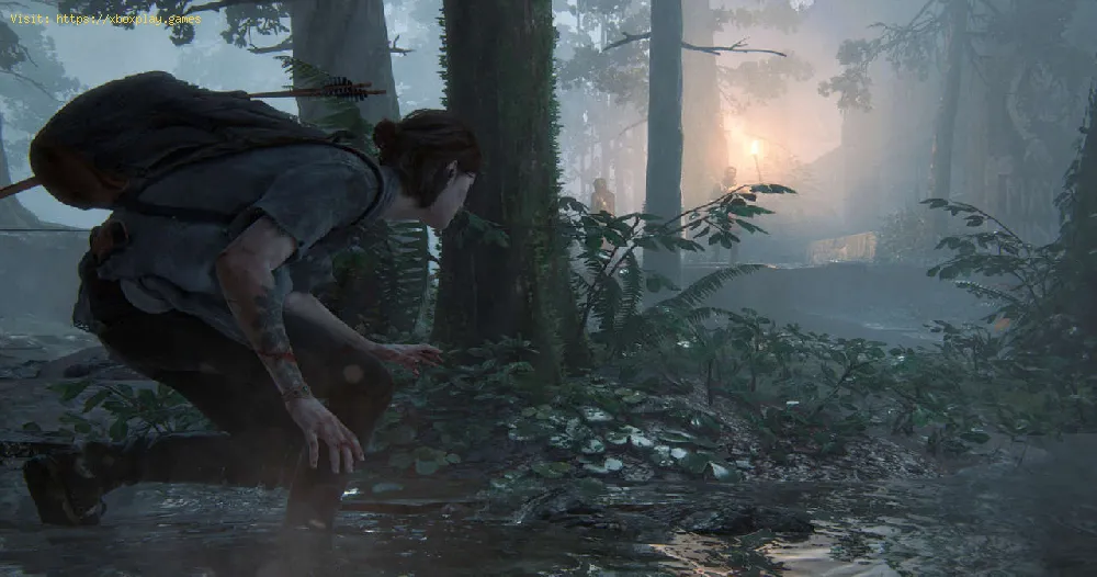 The Last of Us Part 2: Where to find all Coins