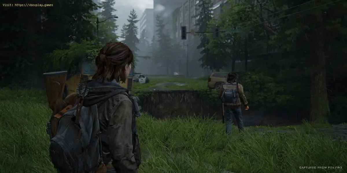 The Last of Us Part 2: Wo finden Sie alle Teile Ergänzungen