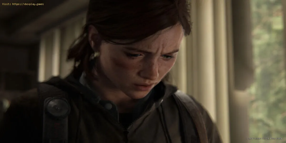 The Last of Us Part 2: Onde encontrar todos os itens colecionáveis ​​para ambientes internos
